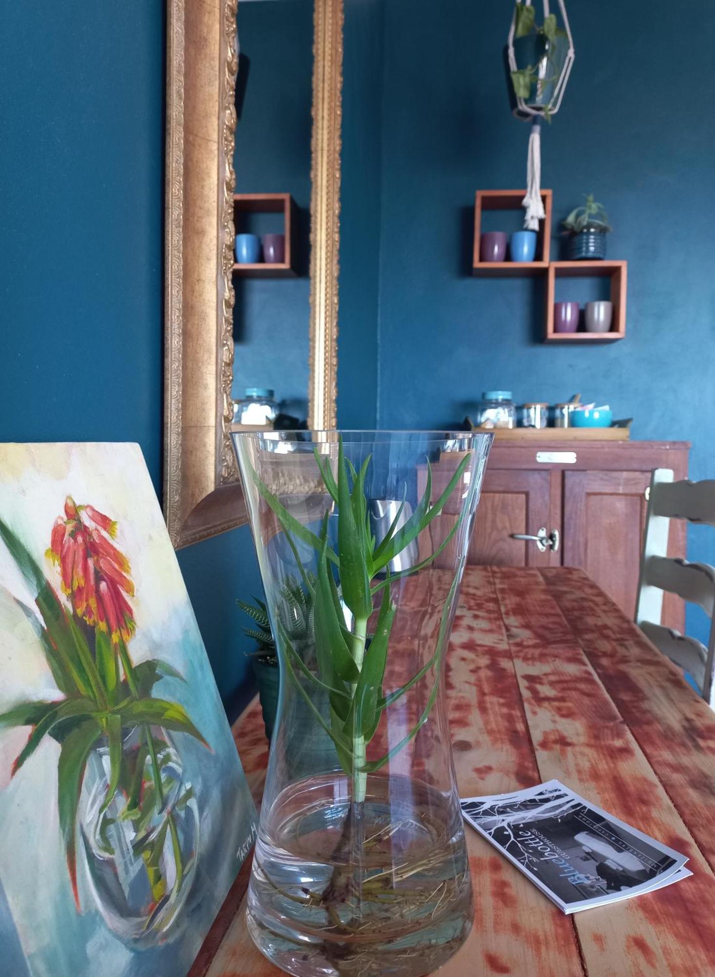 מויזנברג Bluebottle Guesthouse מראה חיצוני תמונה